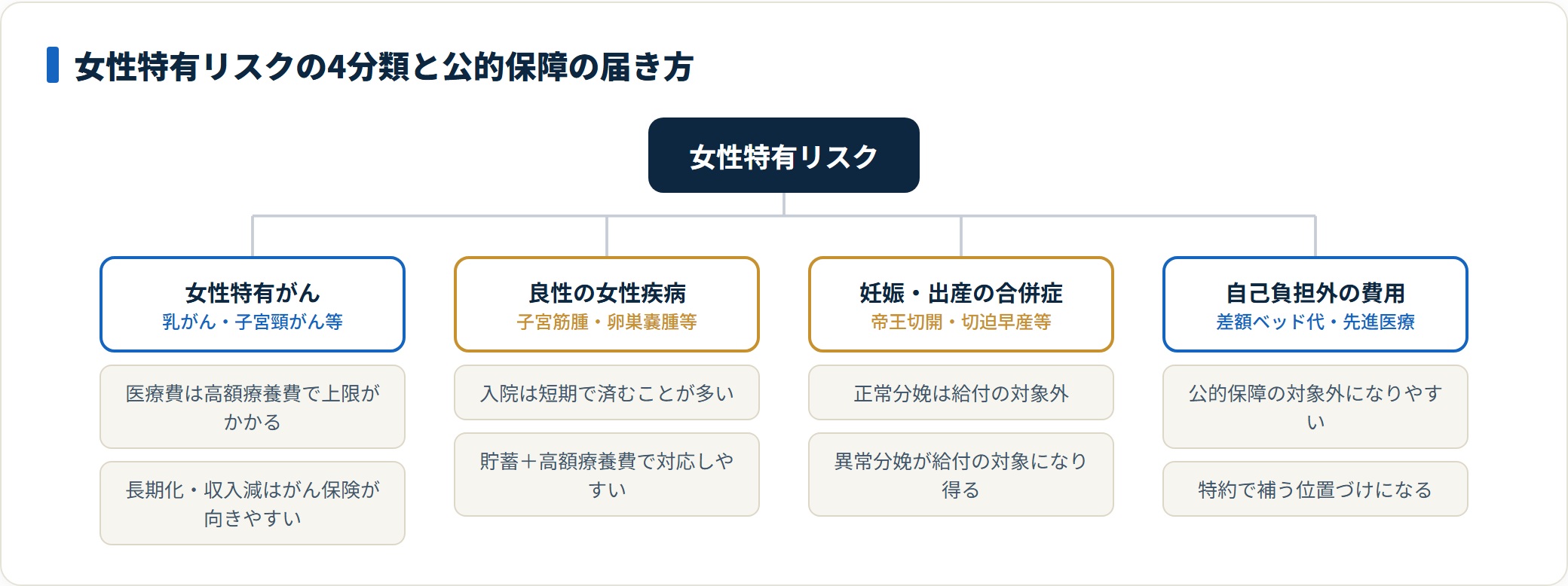 女性特有リスクを女性特有がん・良性の女性疾病・妊娠出産の合併症・自己負担外の費用の4つに分類し、それぞれ公的保障で賄える範囲を整理した図